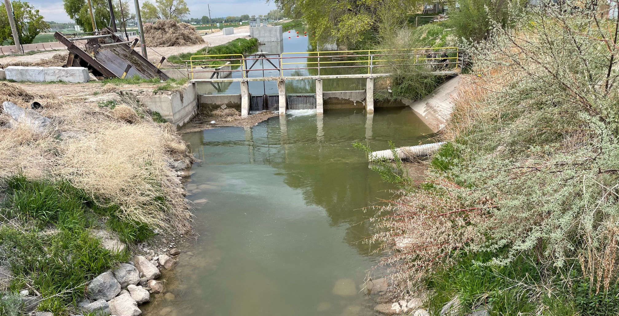 Body found in canal identified as Samantha Bear (dated)